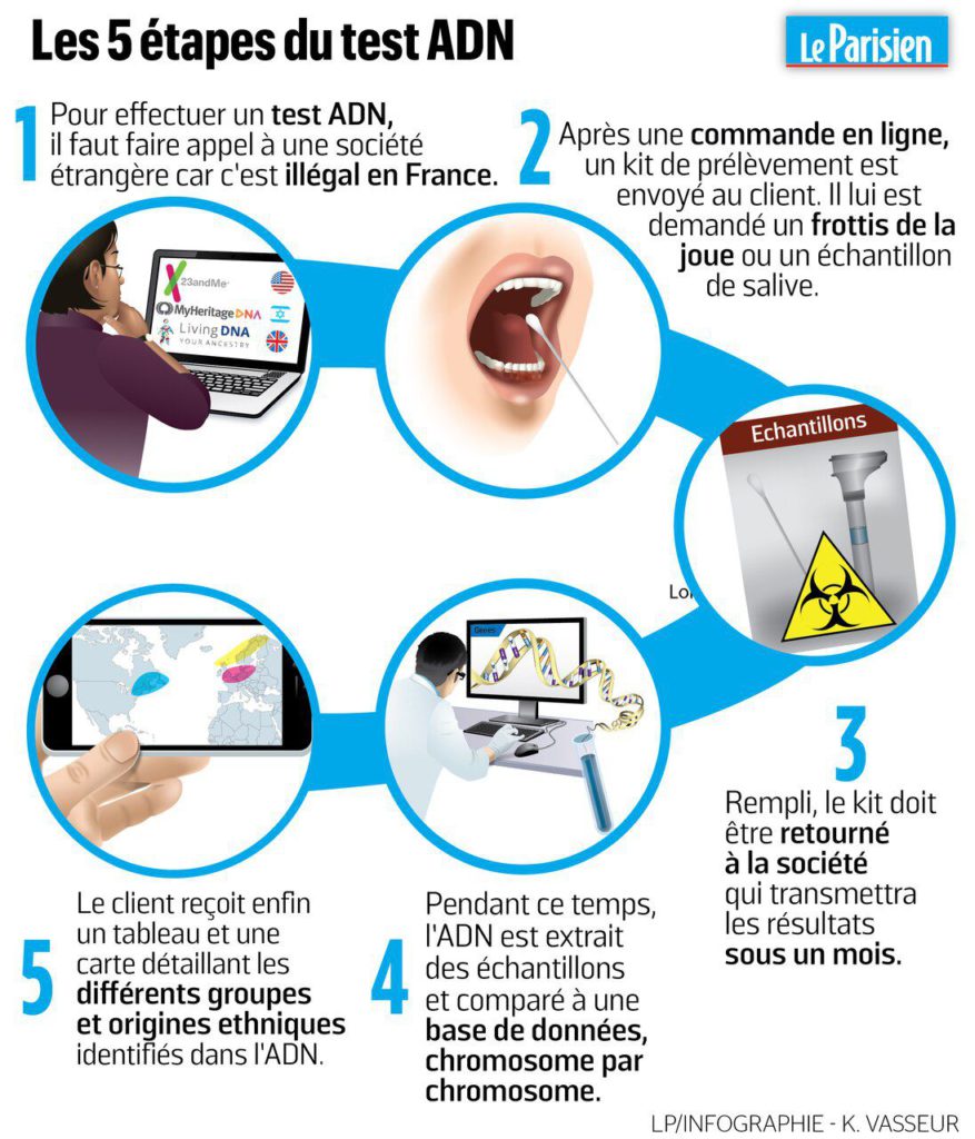 Les 5 étapes du test ADN